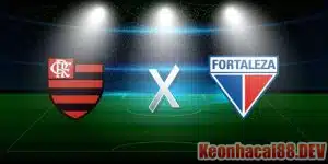 Soi Kèo Flamengo vs Fortaleza 04h30 Ngày 02/07/2023 -  VĐQG Brazil 